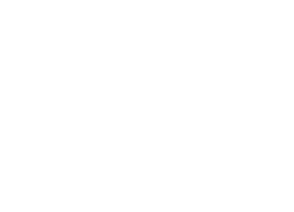 Skylark International
